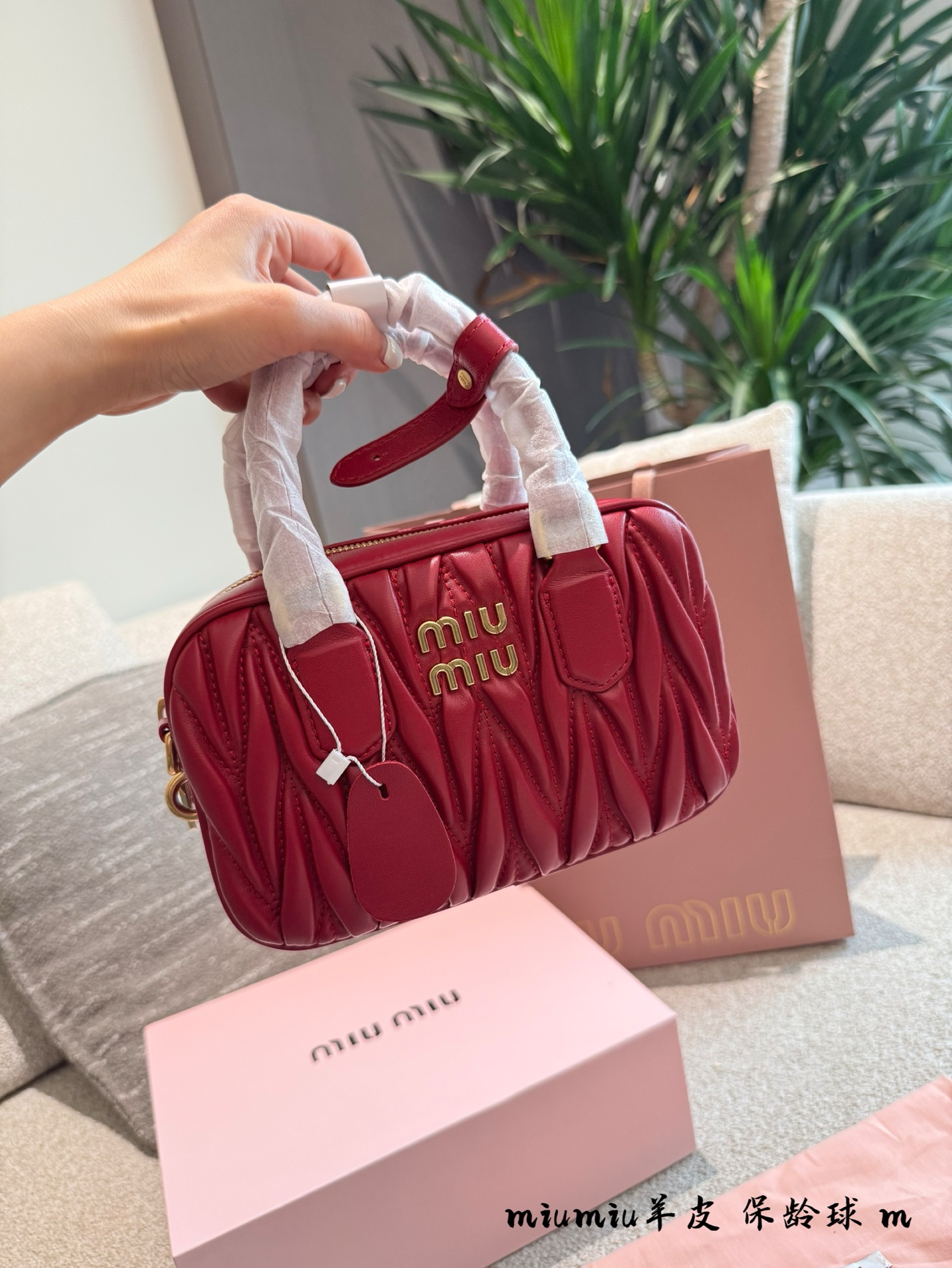 MiuMiu bag 256